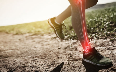 Glucozamina: beneficii, contraindicatii si utilizari pentru sanatatea articulatiilor - Nutriland®