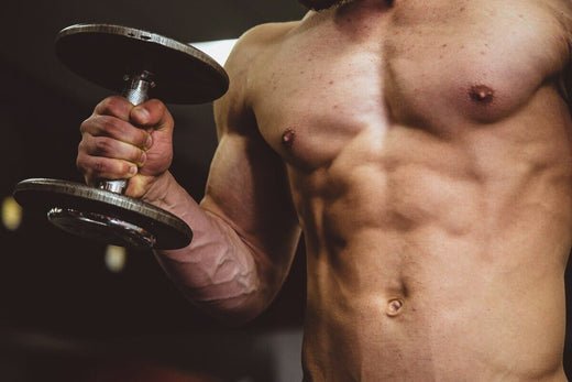 Turkesterone - beneficii, efecte și utilizare în dezvoltarea musculară - Nutriland®